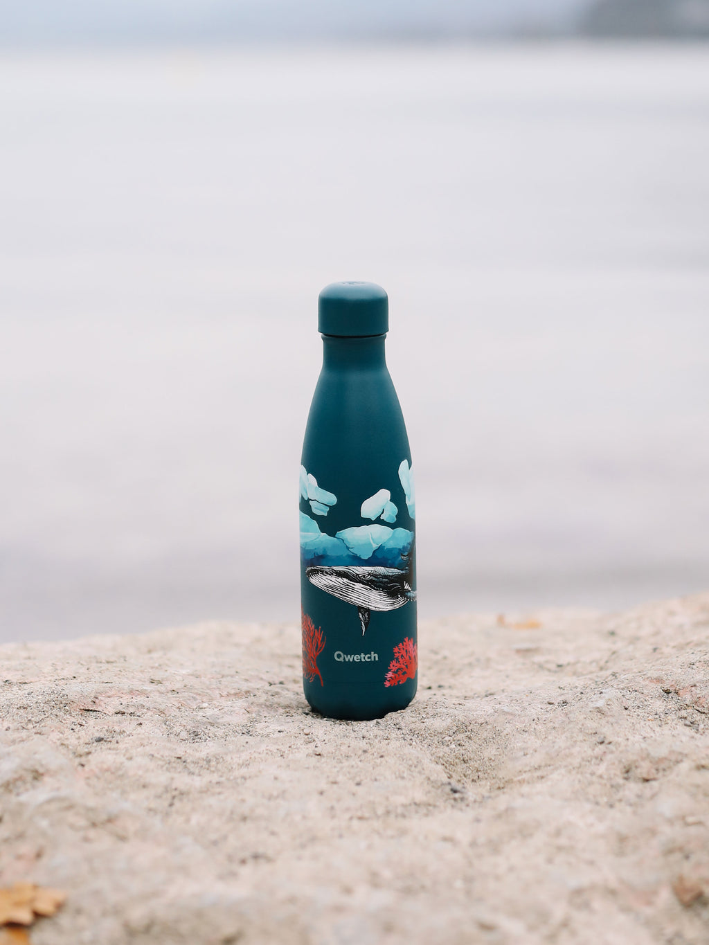 Insulated Bottle - Originals Whale