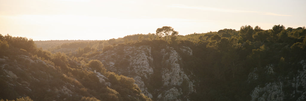 GREEN FRIDAY : CONSOMMONS RESPONSABLE !