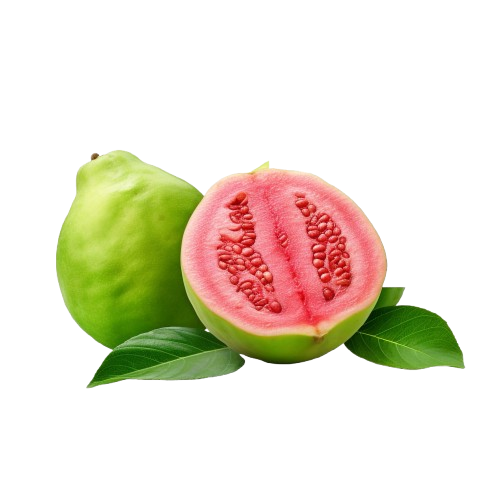 <B>Guayaba </B>