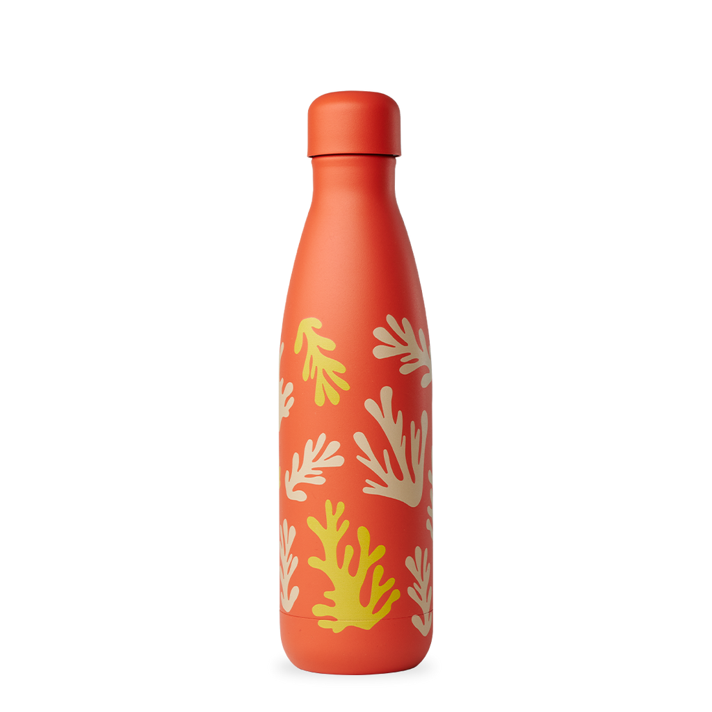 Botella isotérmica - Originals Summer Pop Coral