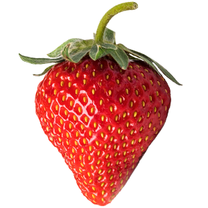 <B>Fraise</B>