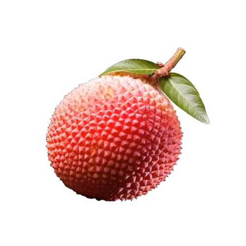 <B>Litchi </B>