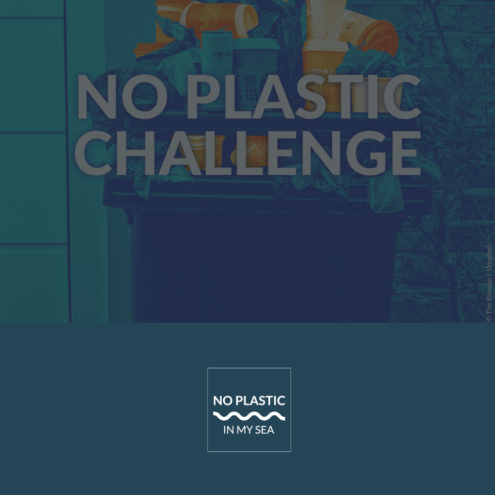 #NoPlasticChallenge : Qwetch soutient l'association No Plastic in My Sea